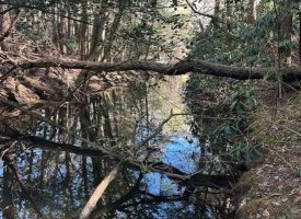 5.06+/-acres Beautiful Creek Property