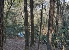 5.06+/-acres Beautiful Creek Property