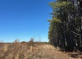 5.04+/-scenic acres in Grundy County, Tennessee