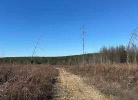 5.26+/-scenic acres in Grundy County, Tennessee