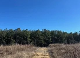 5.26+/-scenic acres in Grundy County, Tennessee