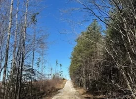 Discover a rare opportunity to own 6.70+/-scenic acres in Grundy County, Tennessee,