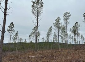 5.11+/-acres Beautiful Property with Views