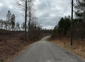 5.28+/-acres Beautiful Property with Views