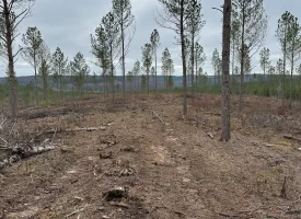 5.28+/-acres Beautiful Property with Views