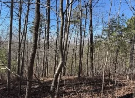 5.00+/-acres on South Pittsburg Mtn with scenic views and outdoor paradise