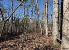 5.00+/-acres on South Pittsburg Mtn with scenic views and outdoor paradise