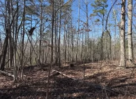 5.00+/-acres on South Pittsburg Mtn with scenic views and outdoor paradise