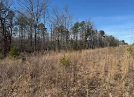 5.00+/-acres on South Pittsburg Mtn with scenic views and outdoor paradise