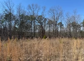 5.00+/-acres on South Pittsburg Mtn with scenic views and outdoor paradise