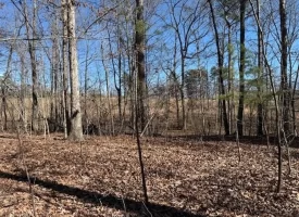 5.00+/-acres on South Pittsburg Mtn with scenic views and outdoor paradise