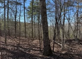 5.00+/-acres on South Pittsburg Mtn with scenic views and outdoor paradise