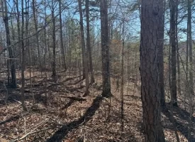 5.00+/-acres on South Pittsburg Mtn with scenic views and outdoor paradise