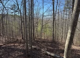 5.00+/-acres on South Pittsburg Mtn with scenic views and outdoor paradise