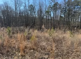 5.00+/-acres on South Pittsburg Mtn with scenic views and outdoor paradise