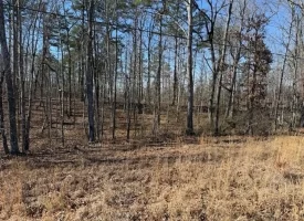 5.00+/-acres on South Pittsburg Mtn with scenic views and outdoor paradise