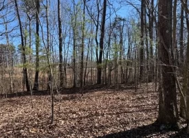 5.00+/-acres on South Pittsburg Mtn with scenic views and outdoor paradise