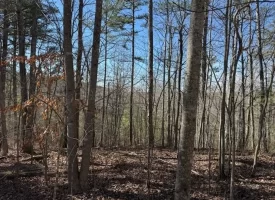 5.00+/-acres on South Pittsburg Mtn with scenic views and outdoor paradise