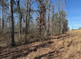 5.00+/-acres on South Pittsburg Mtn with scenic views and outdoor paradise