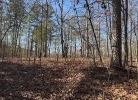 5.00+/-acres on South Pittsburg Mtn with scenic views and outdoor paradise