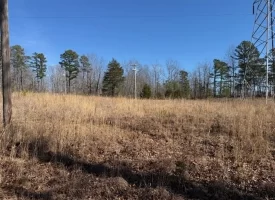 5.00+/-acres Discover the perfect blend of privacy and recreation with this beautiful