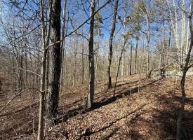 5.00+/-acres Discover the perfect blend of privacy and recreation with this beautiful