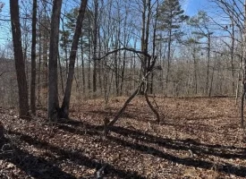 5.00+/-acres Discover the perfect blend of privacy and recreation with this beautiful