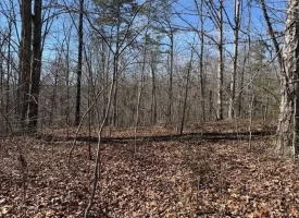 5.00+/-acres Discover the perfect blend of privacy and recreation with this beautiful