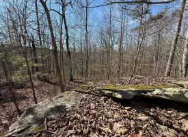 5.00+/-acres Discover the perfect blend of privacy and recreation with this beautiful