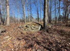 5.00+/-acres Discover the perfect blend of privacy and recreation with this beautiful