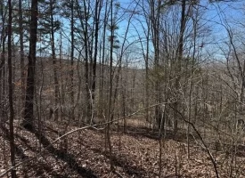 5.00+/-acres Discover the perfect blend of privacy and recreation with this beautiful