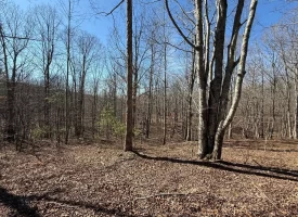 5.00+/-acres Discover the perfect blend of privacy and recreation with this beautiful