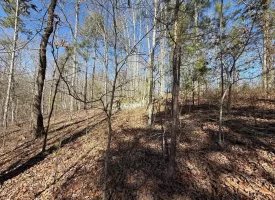 5.00+/-acres Discover the perfect blend of privacy and recreation with this beautiful