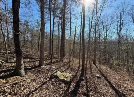 5.00+/-acres Discover the perfect blend of privacy and recreation with this beautiful