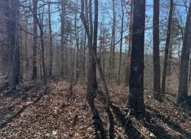 5.00+/-acres Discover the perfect blend of privacy and recreation with this beautiful