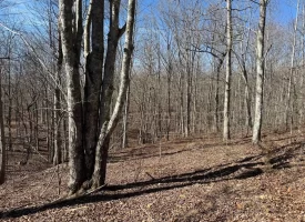 5.00+/-acres Discover the perfect blend of privacy and recreation with this beautiful