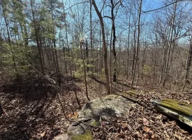 5.00+/-acres Discover the perfect blend of privacy and recreation with this beautiful