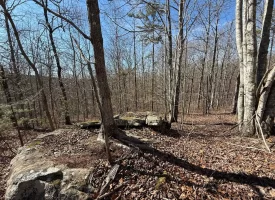 5.00+/-acres Discover the perfect blend of privacy and recreation with this beautiful