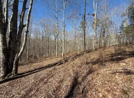 5.00+/-acres Discover the perfect blend of privacy and recreation with this beautiful