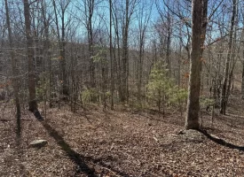 5.00+/-acres Discover the perfect blend of privacy and recreation with this beautiful