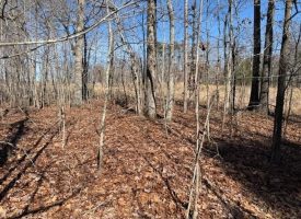 Beautiful 5.00+/-acre wooded tract atop South Pittsburg Mountain.