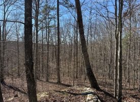 Beautiful 5.00+/-acre wooded tract atop South Pittsburg Mountain.