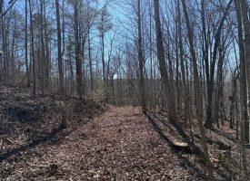 Beautiful 5.00+/-acre wooded tract atop South Pittsburg Mountain.
