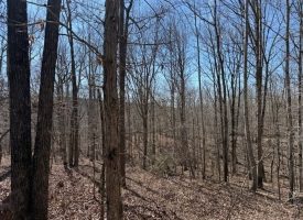 Beautiful 5.00+/-acre wooded tract atop South Pittsburg Mountain.