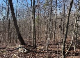 Beautiful 5.00+/-acre wooded tract atop South Pittsburg Mountain.
