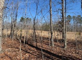Beautiful 5.00+/-acre wooded tract atop South Pittsburg Mountain.