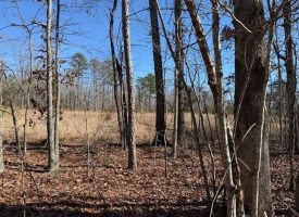 Beautiful 5.00+/-acre wooded tract atop South Pittsburg Mountain.