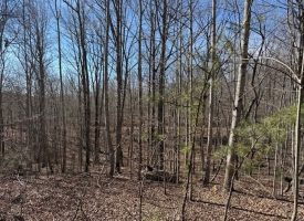 Beautiful 5.00+/-acre wooded tract atop South Pittsburg Mountain.