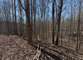 Beautiful 5.00+/-acre wooded tract atop South Pittsburg Mountain.