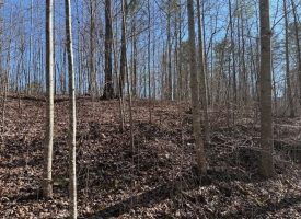Beautiful 5.00+/-acre wooded tract atop South Pittsburg Mountain.